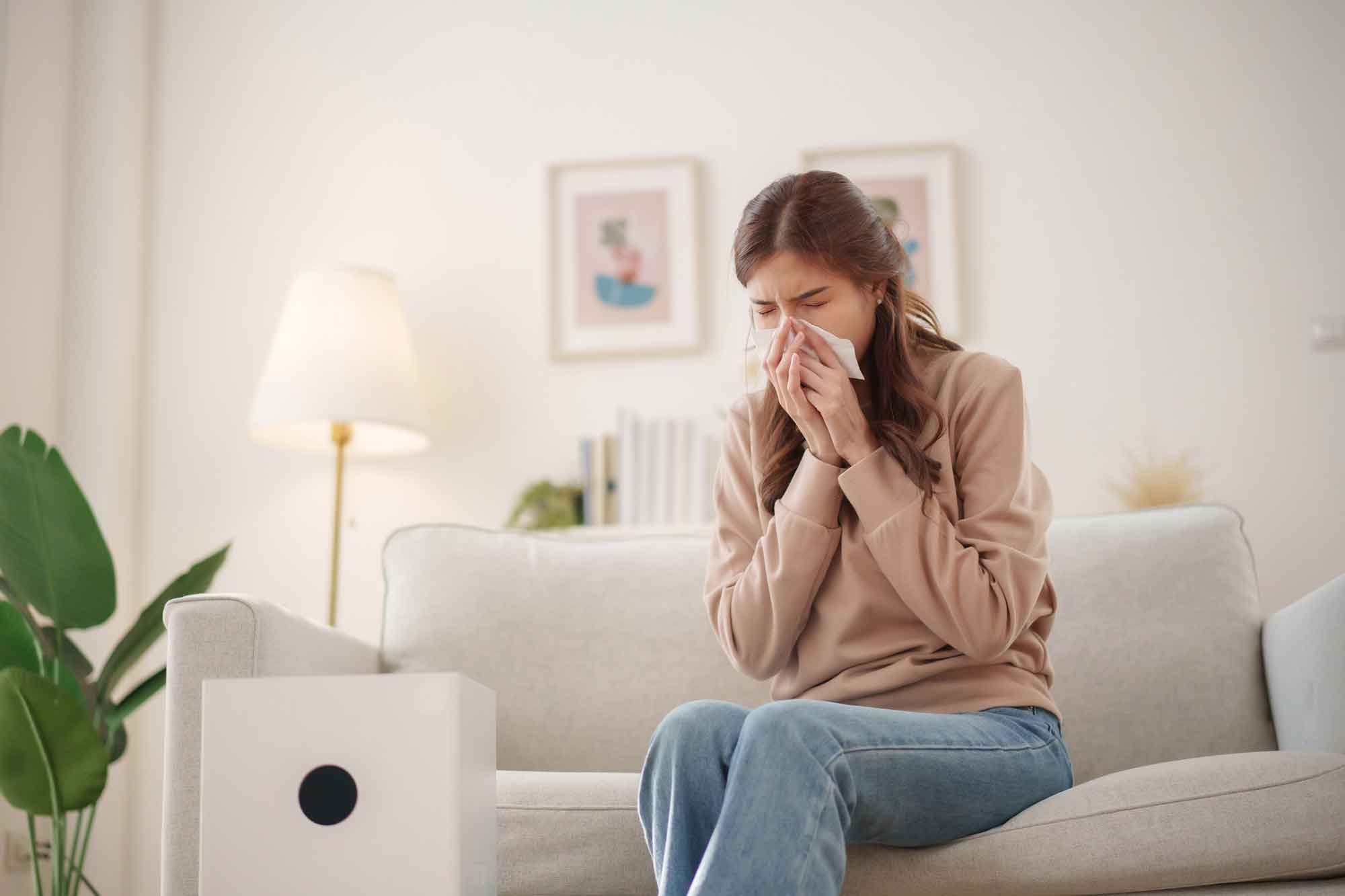 Plenitude, énergie, écologie, allergies maison