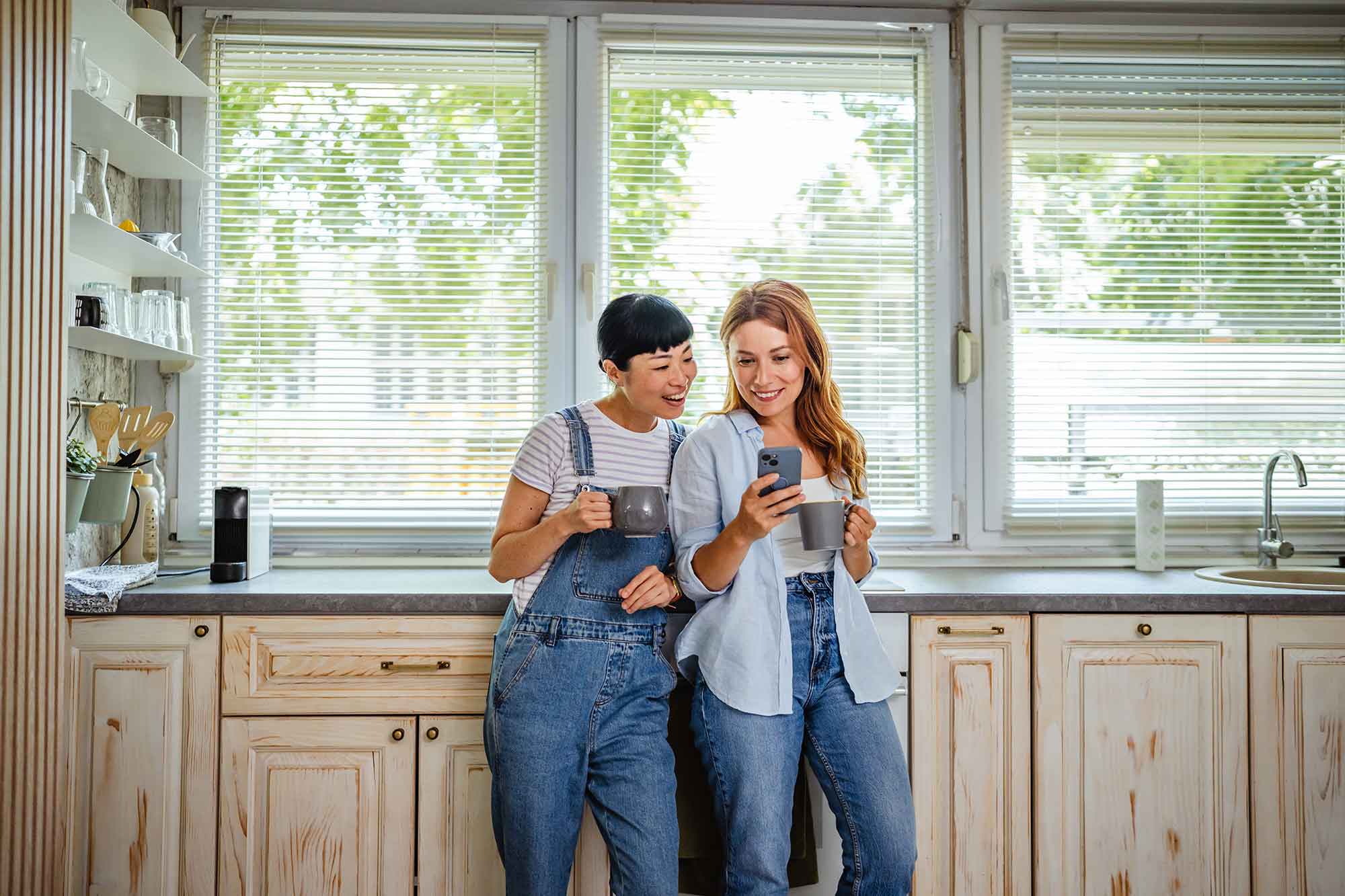 Plenitude, énergie, chauffage au bois, prix chaudière biomasse, aides chaudière biomasse