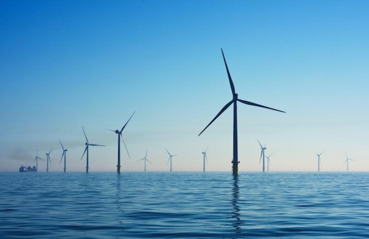 Plenitude, Énergie, Écologie, Impact de l'Énergie Éolienne sur l'Environnement