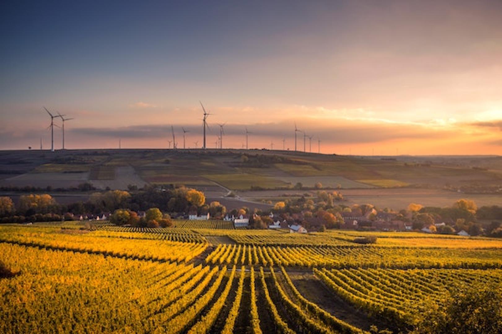 Plenitude, énergie, électricité, les différents types d'éoliennes
