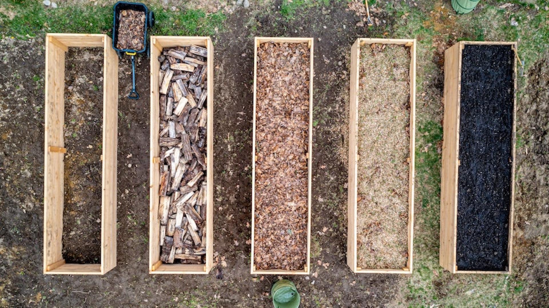 Quels Sont Les Impacts De L'Énergie Biomasse Sur L'Environnement - Plenitude, En Lumière Magazine de l'énergie et de l'écologie